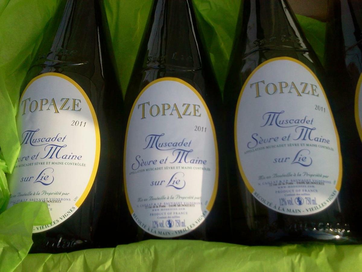 Topaze Sejour Chez Le Vigneron Monnieres  Ngoại thất bức ảnh